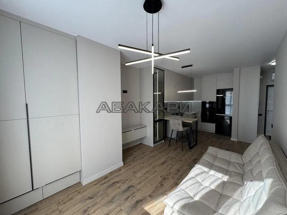 2-комнатная улица Чернышевского, 73  за 35000 руб/мес фото 8