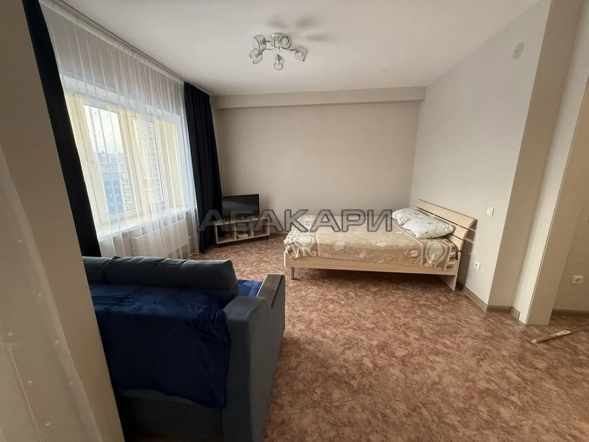 1-комнатная Линейная улица, 105  за 35000 руб/мес фото 2