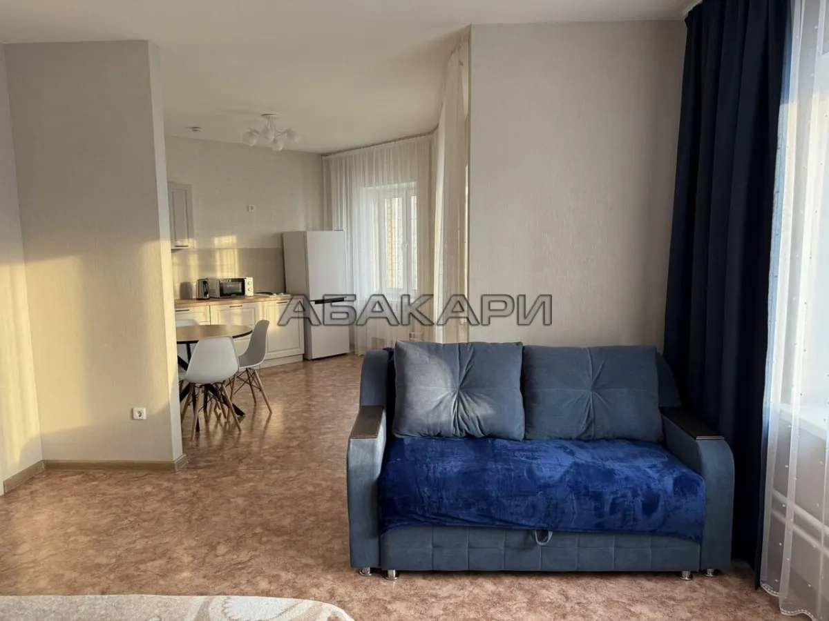 1-комнатная Линейная улица, 105  за 35000 руб/мес фото 3