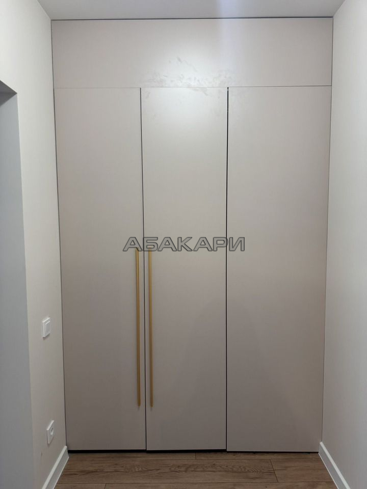 1-комнатная улица Красной Армии, 121  за 50000 руб/мес фото 9