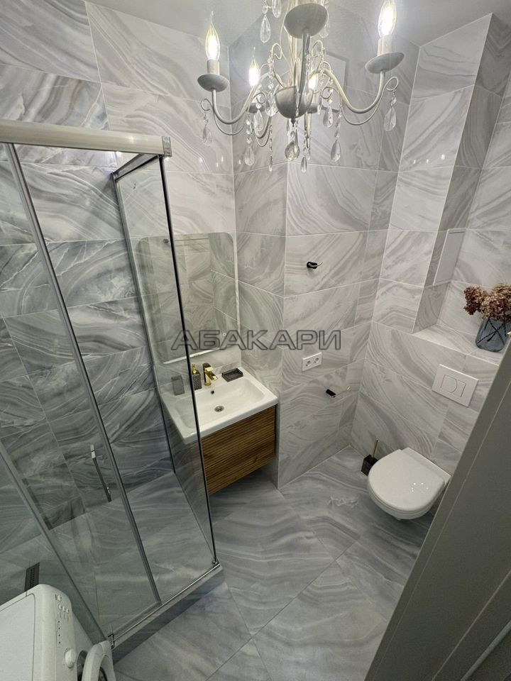 1-комнатная улица Красной Армии, 121  за 50000 руб/мес фото 12