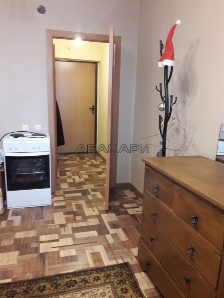 студия Лесопарковая улица, 21  за 18000 руб/мес фото 3
