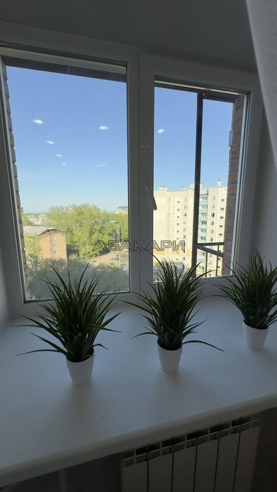 1-комнатная улица Быковского, 9Г  за 35000 руб/мес фото 9