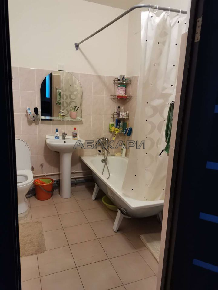 1-комнатная улица Мужества, 16  за 28000 руб/мес фото 10