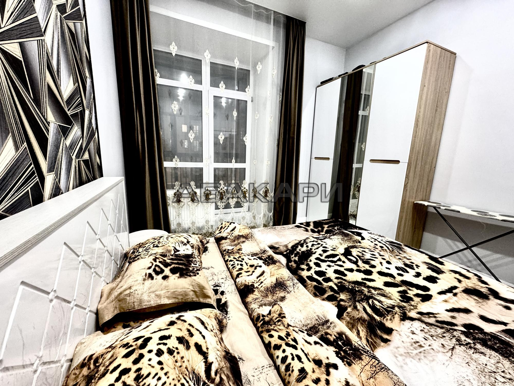 2-комнатная улица Петра Подзолкова, 10  за 60000 руб/мес фото 7