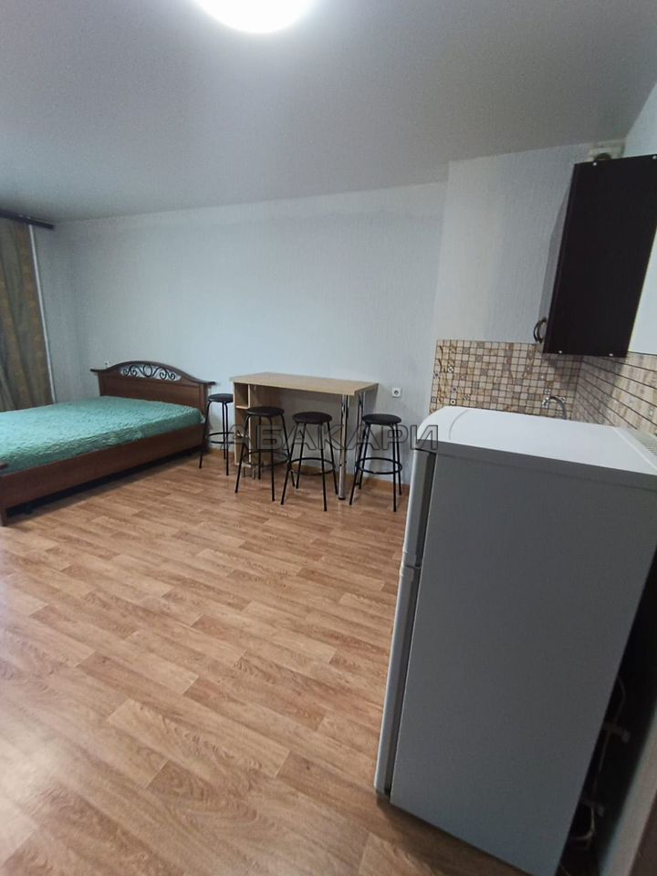студия улица Петра Подзолкова, 3Б  за 27000 руб/мес фото 2