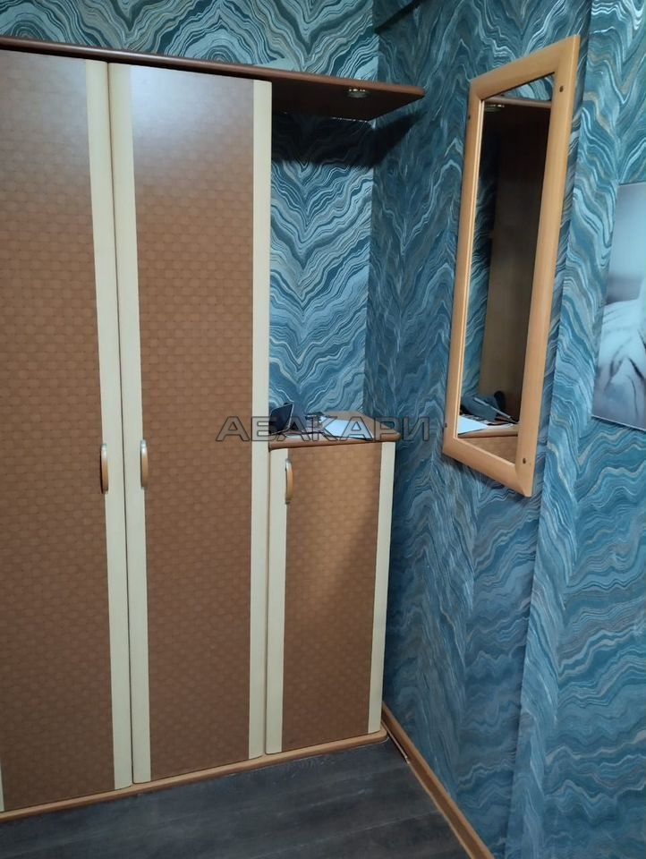 студия улица Любы Шевцовой, 88  за 30000 руб/мес фото 5