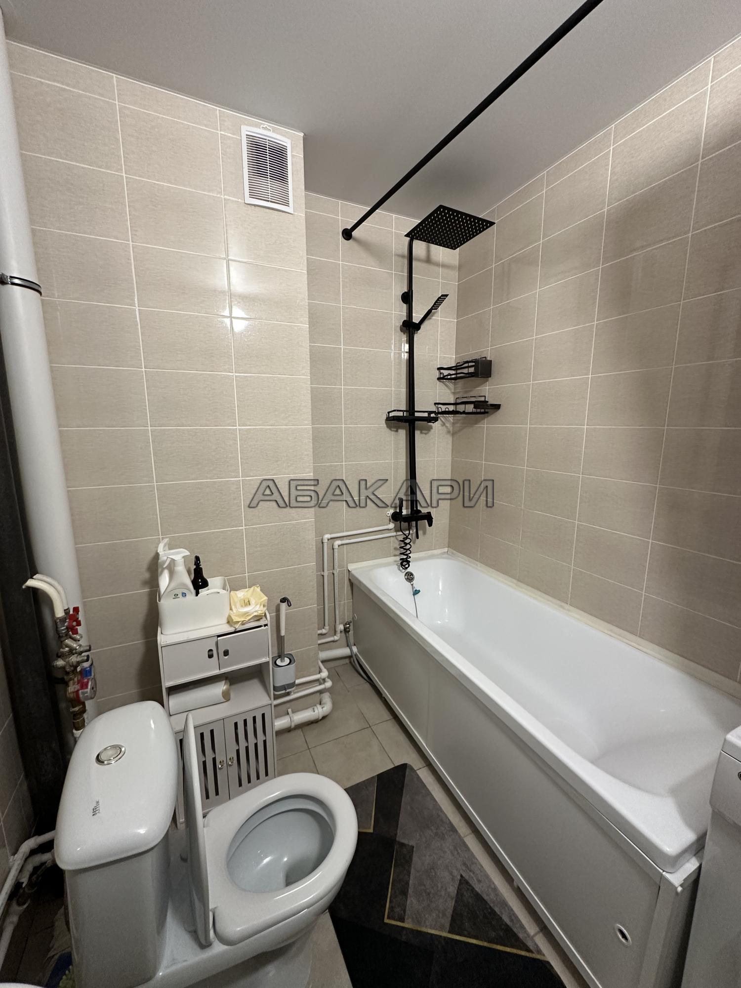 студия Аральская улица, 49  за 33000 руб/мес фото 10