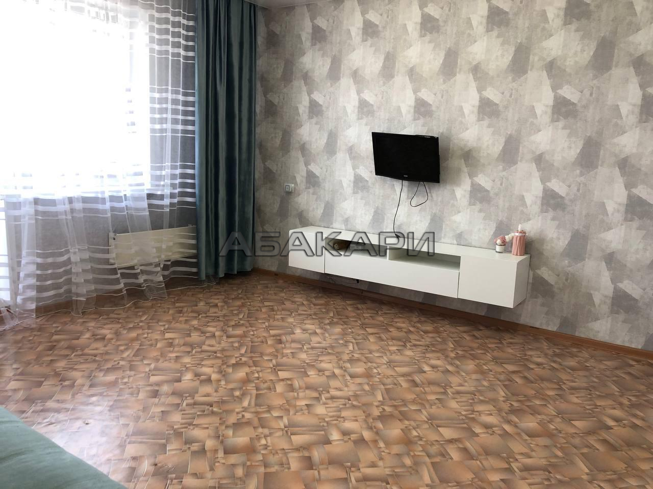 1-комнатная Светлогорский переулок, 21  за 30000 руб/мес фото 5