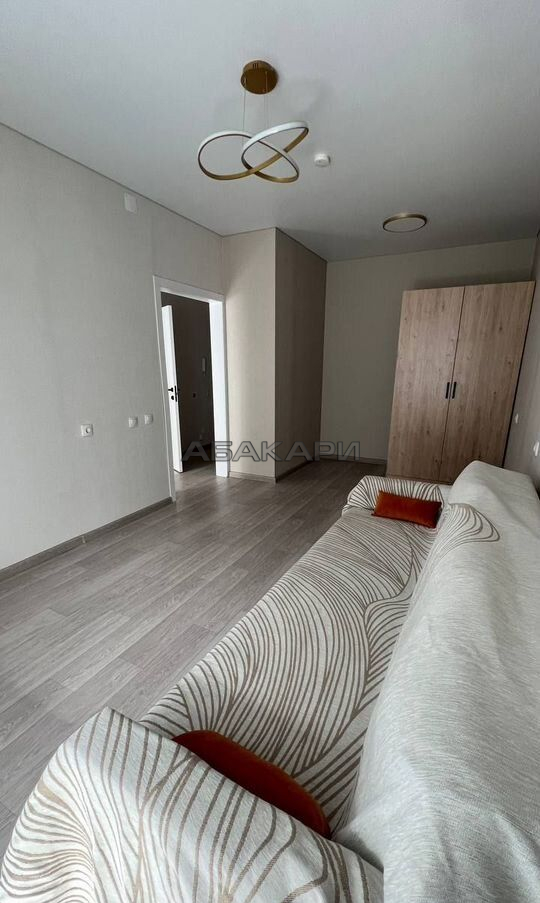 1-комнатная улица Петра Подзолкова, 19  за 31000 руб/мес фото 2