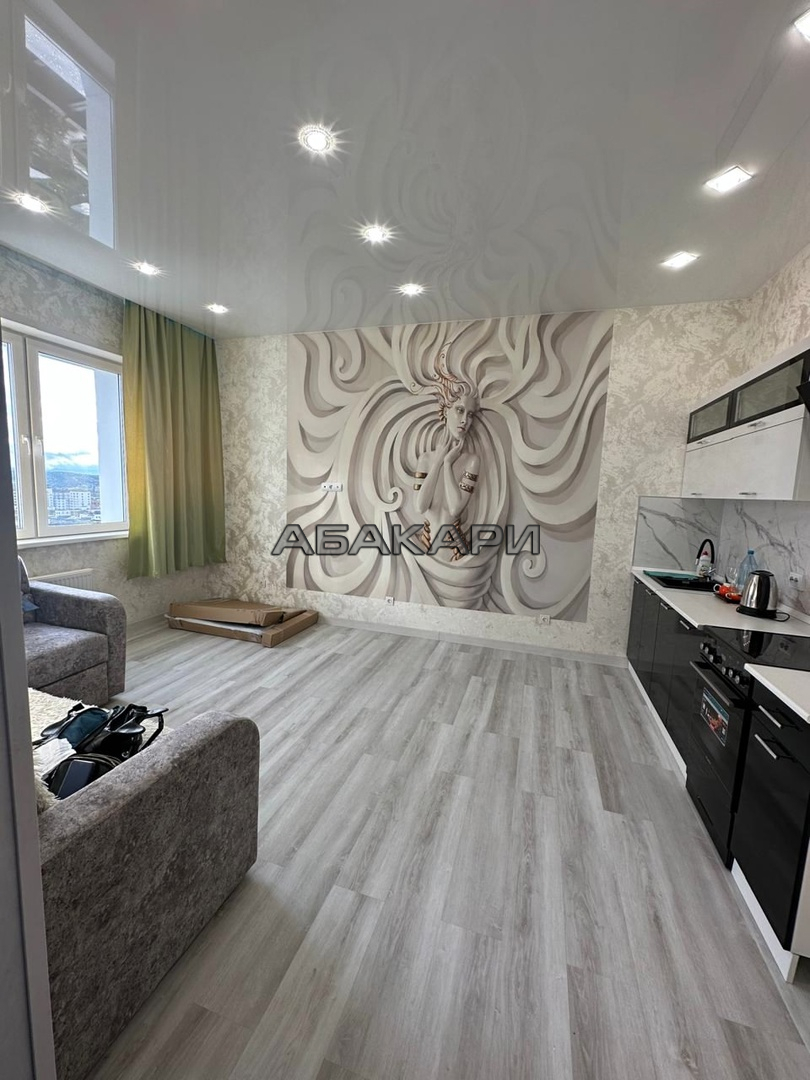 1-комнатная улица Авиаторов, 43  за 40000 руб/мес фото 3