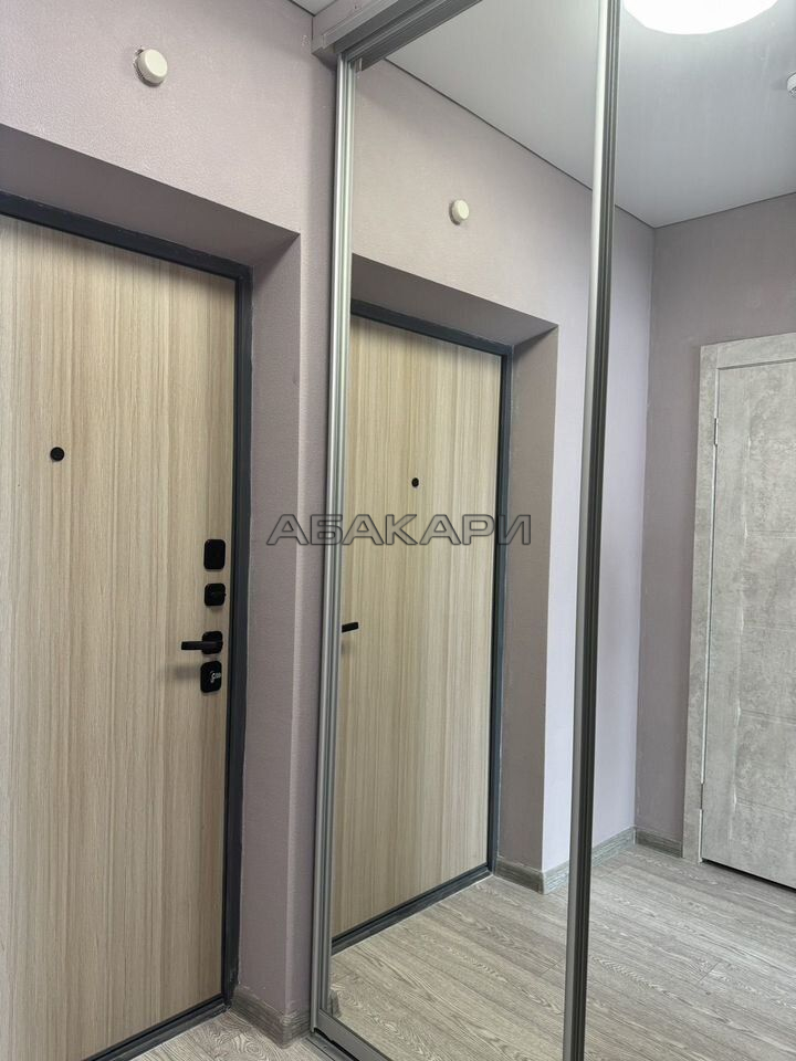 студия Аральская улица, 53А  за 29000 руб/мес фото 6