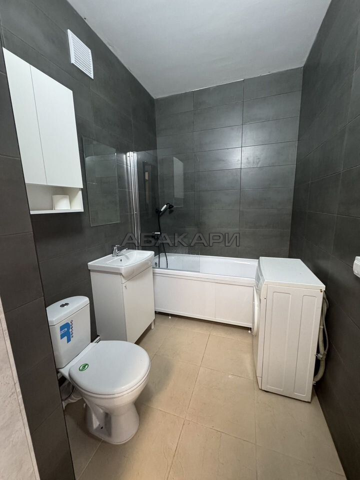 студия Аральская улица, 53А  за 29000 руб/мес фото 8