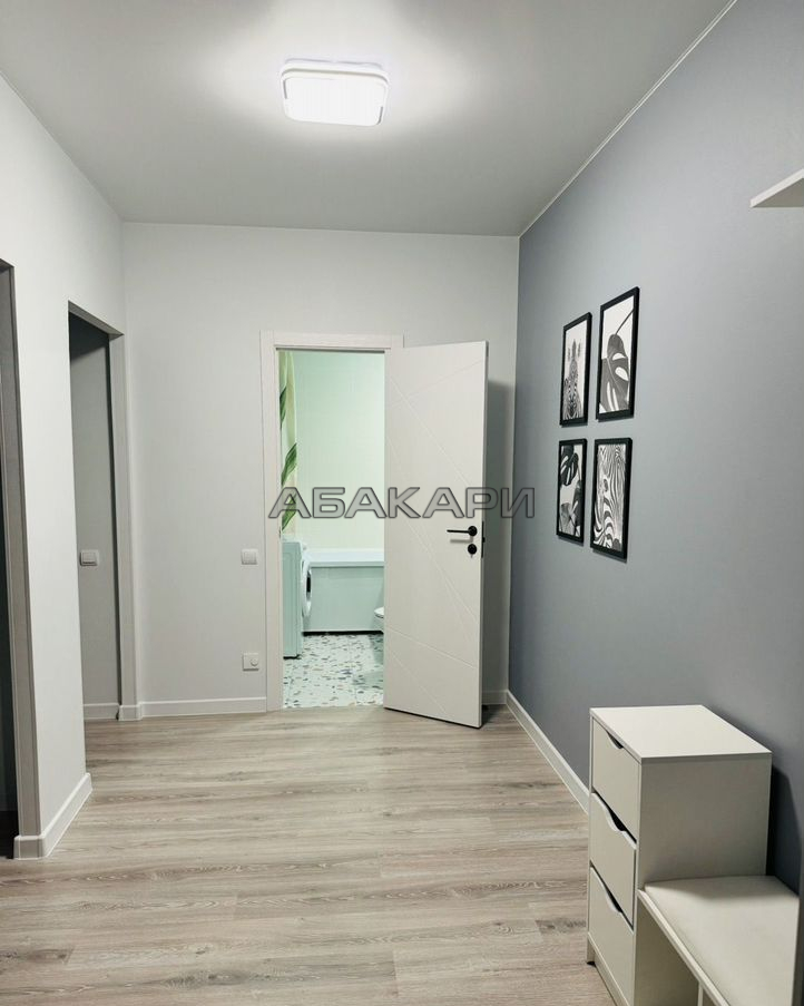 1-комнатная Парусная улица, 3  за 45000 руб/мес фото 5
