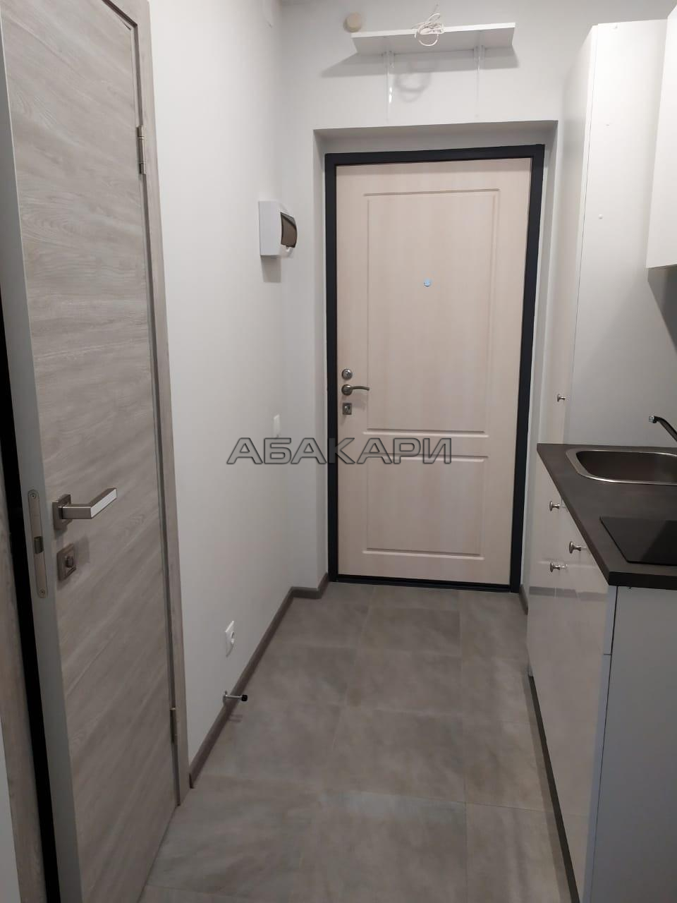 студия улица Петра Подзолкова, 3И  за 22000 руб/мес фото 10