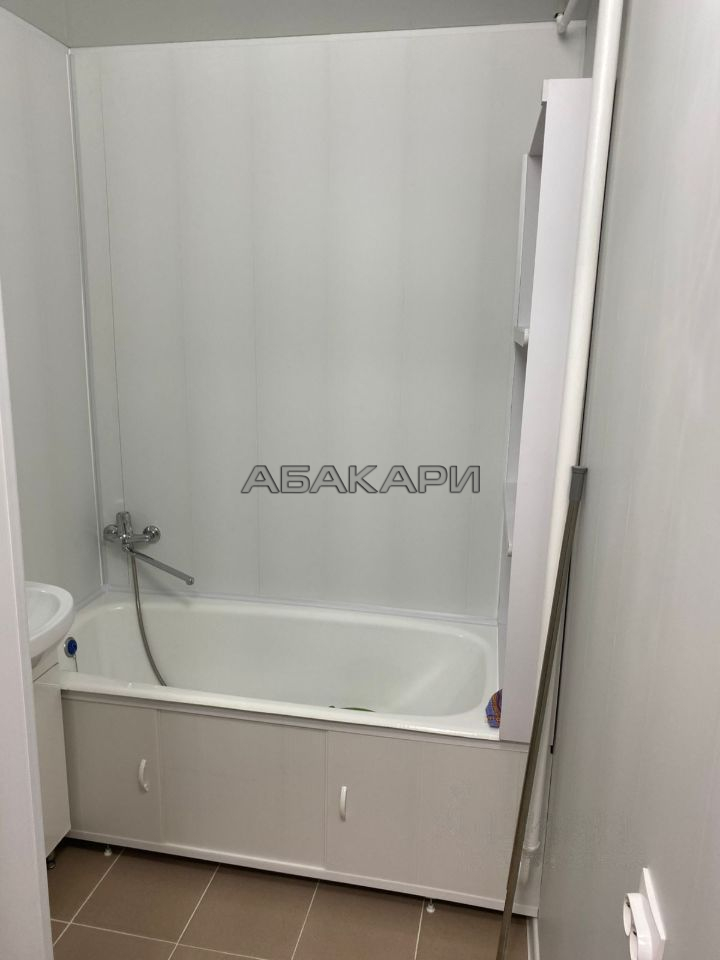 1-комнатная улица Мичурина, 4  за 26000 руб/мес фото 4