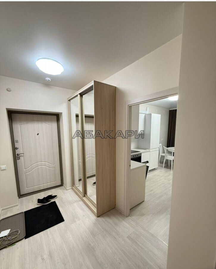 2-комнатная улица 78-й Добровольческой Бригады, 26  за 65000 руб/мес фото 4