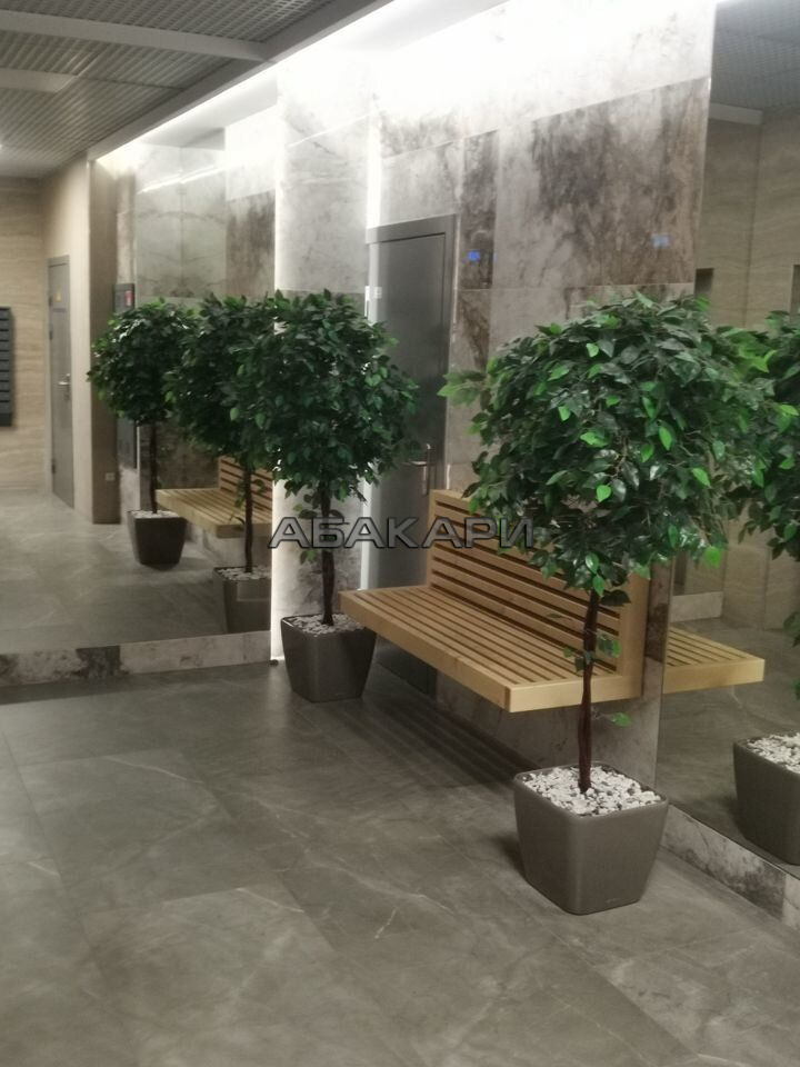 2-комнатная улица Мужества, 10В  за 38000 руб/мес фото 15