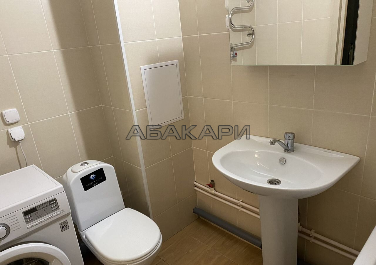 1-комнатная Парусная улица, 10  за 35000 руб/мес фото 13