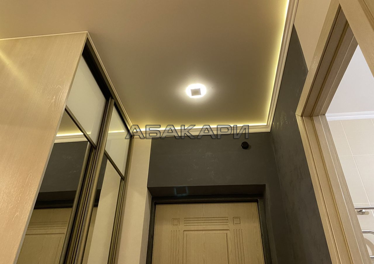 1-комнатная Парусная улица, 10  за 35000 руб/мес фото 9