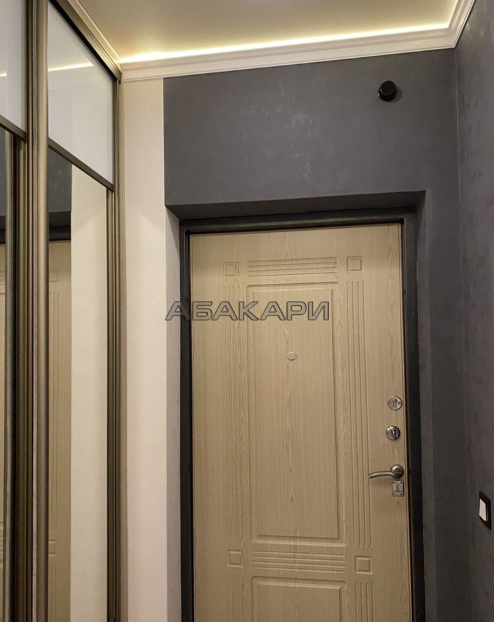 1-комнатная Парусная улица, 10  за 35000 руб/мес фото 10
