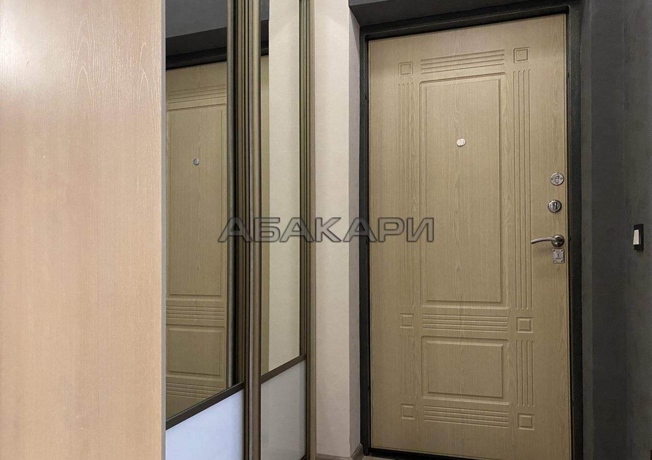 1-комнатная Парусная улица, 10  за 35000 руб/мес фото 11
