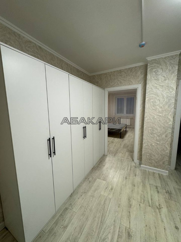 1-комнатная Дудинская улица, 2Д  за 35000 руб/мес фото 9