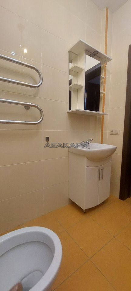 3-комнатная улица Водопьянова, 17  за 50000 руб/мес фото 15