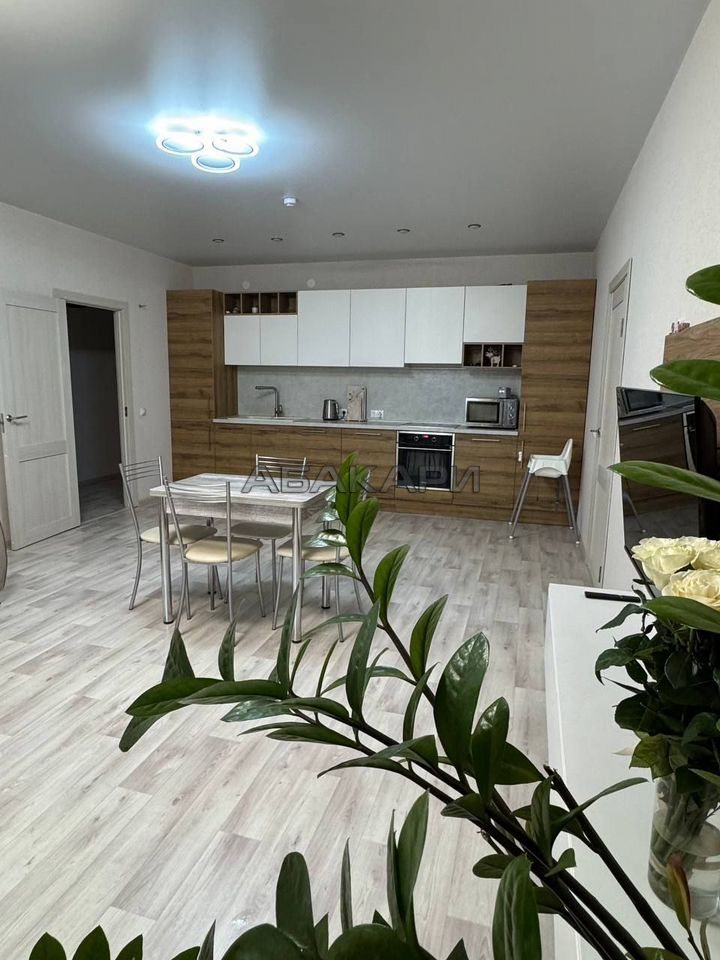 4-комнатная Парусная улица, 5  за 63000 руб/мес фото 3