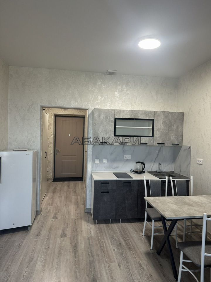 студия Октябрьская улица, 16  за 33000 руб/мес фото 8