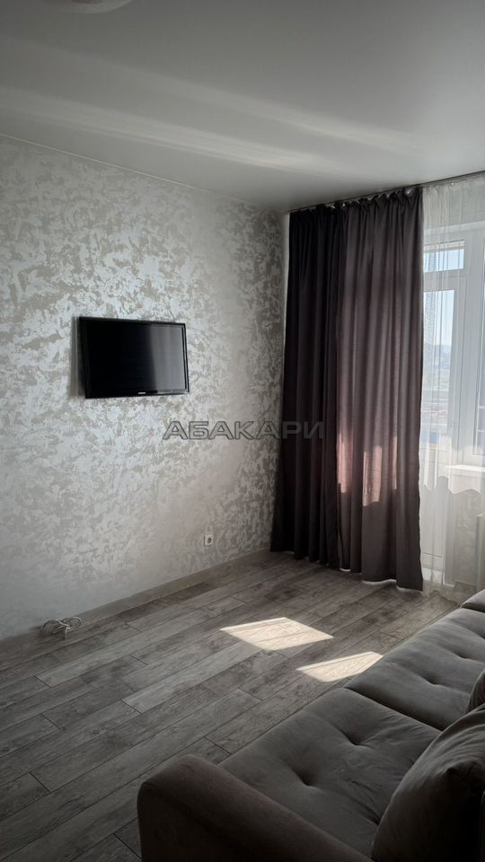 1-комнатная улица Петра Подзолкова, 21  за 30000 руб/мес фото 2