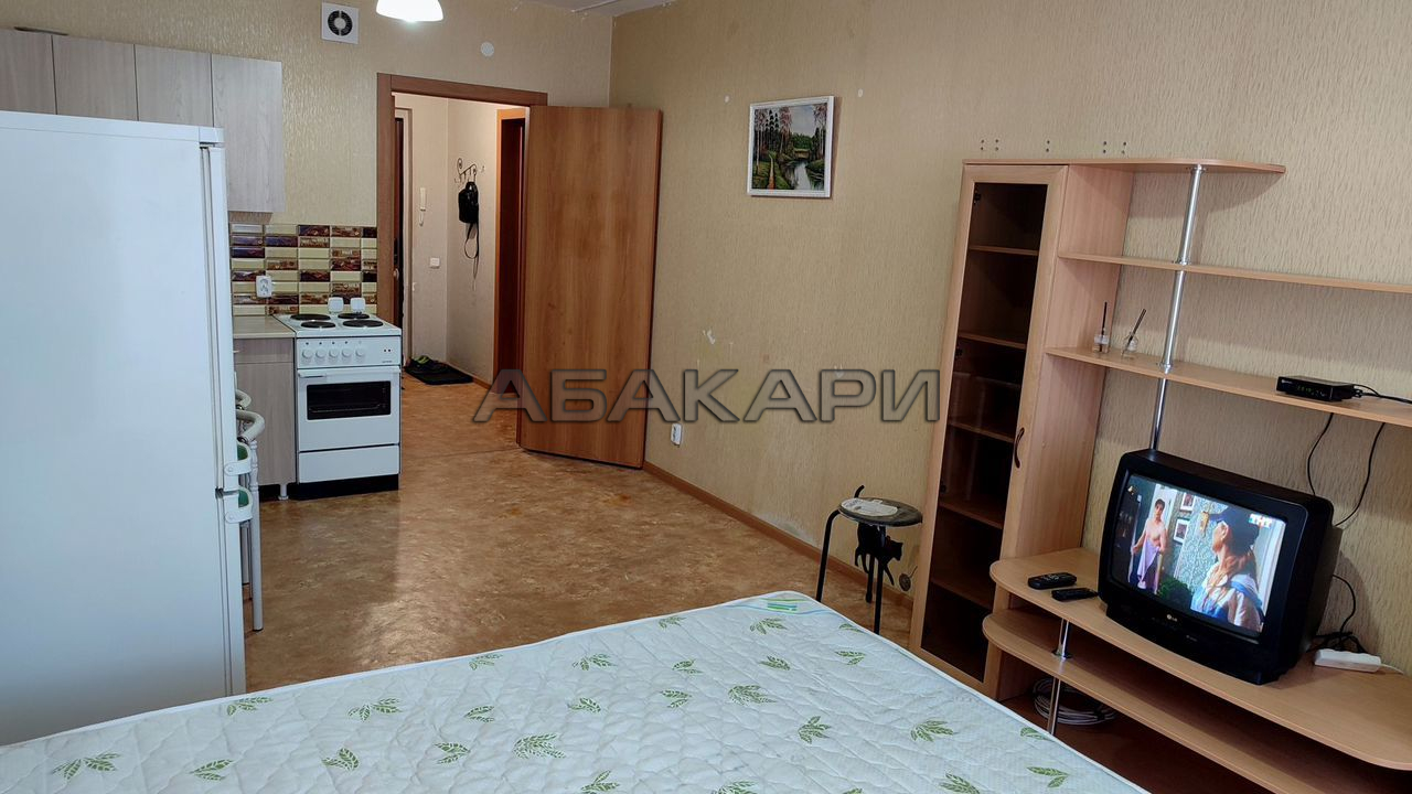 студия Лесопарковая улица, 27  за 20000 руб/мес фото 2
