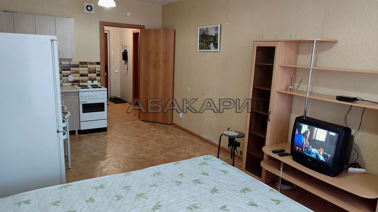 студия Лесопарковая улица, 27  за 20000 руб/мес фото 4