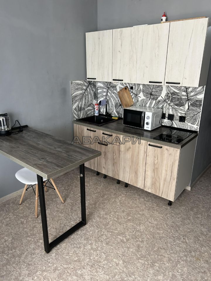 студия улица Лесников, 41  за 23000 руб/мес фото 1