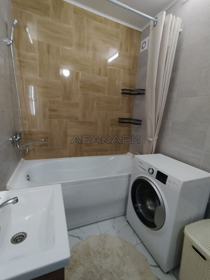 1-комнатная Соколовская улица, 64  за 30000 руб/мес фото 13
