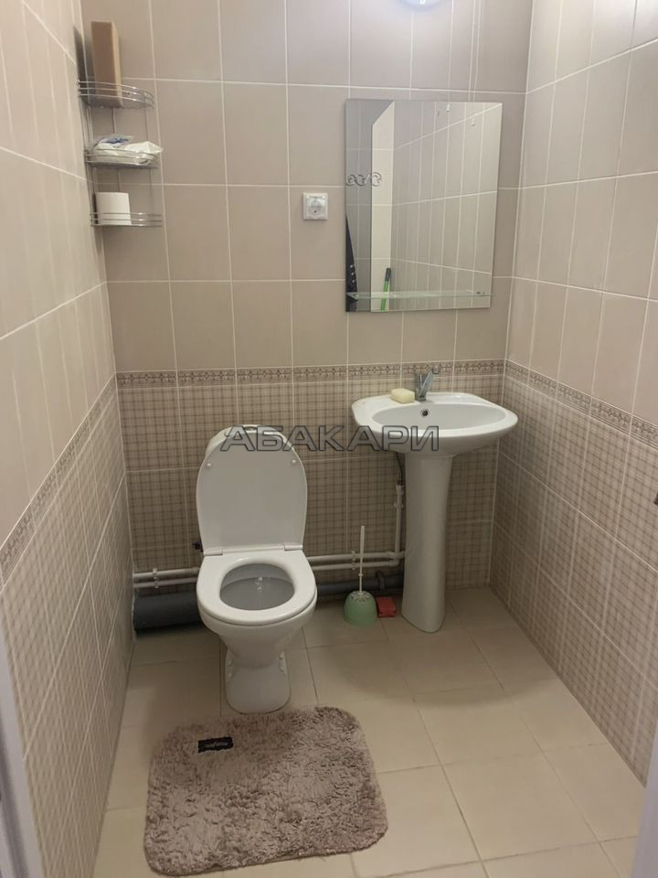 2-комнатная Регатная улица, 4  за 50000 руб/мес фото 15