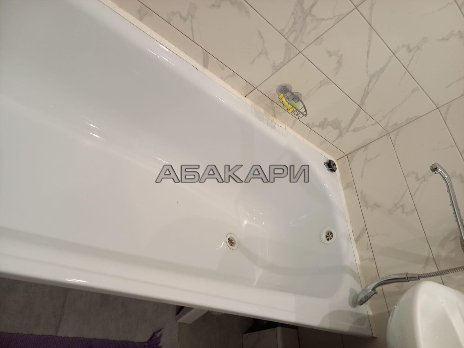 студия Караульная улица, 40  за 27000 руб/мес фото 6
