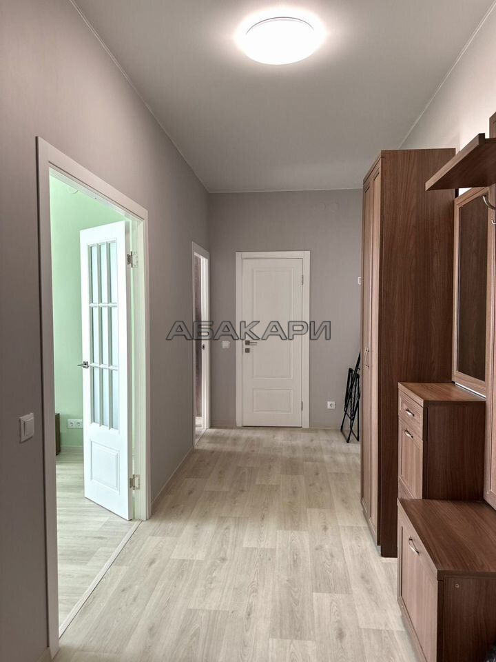 2-комнатная Южная набережная, 12  за 45000 руб/мес фото 7