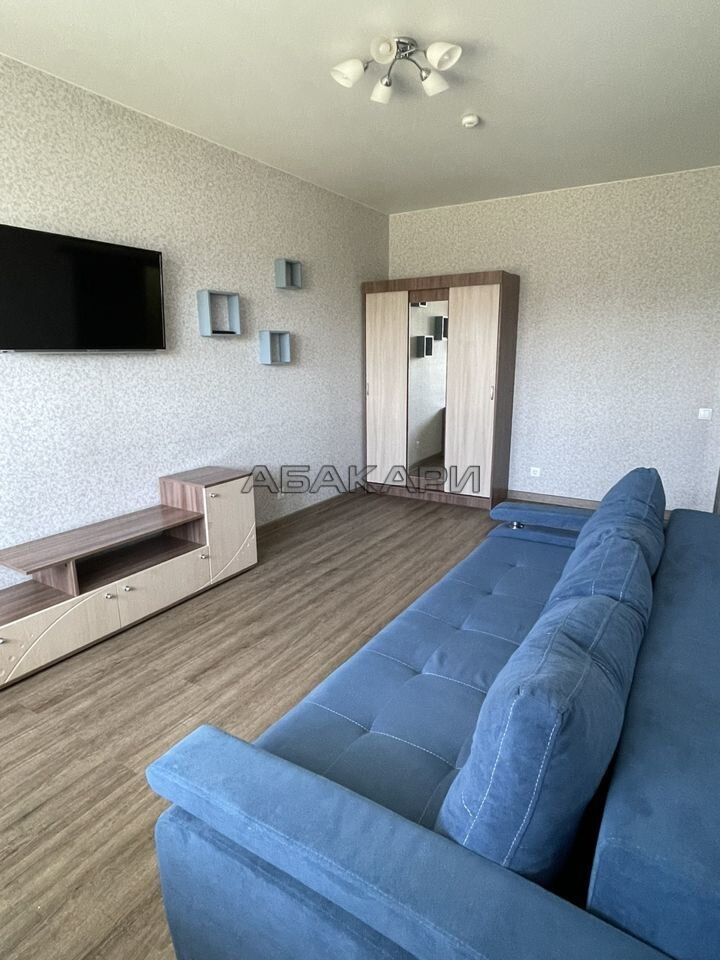 1-комнатная улица Петра Подзолкова, 3И  за 35000 руб/мес фото 1