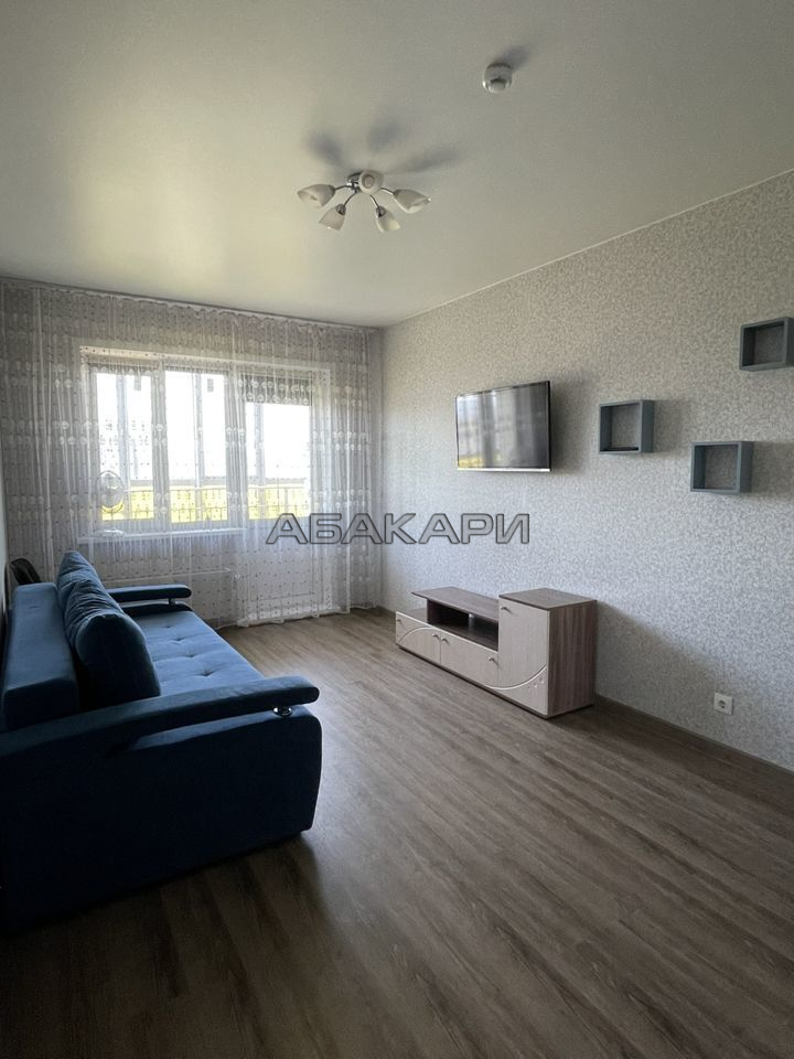 1-комнатная улица Петра Подзолкова, 3И  за 35000 руб/мес фото 2