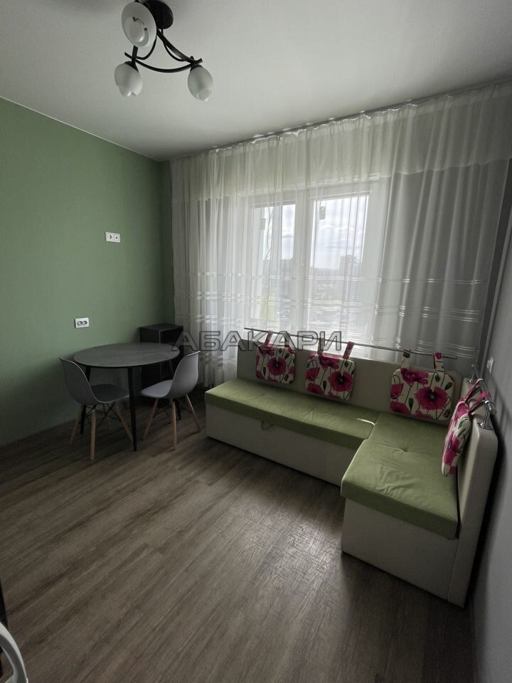 1-комнатная улица Петра Подзолкова, 3И  за 35000 руб/мес фото 5