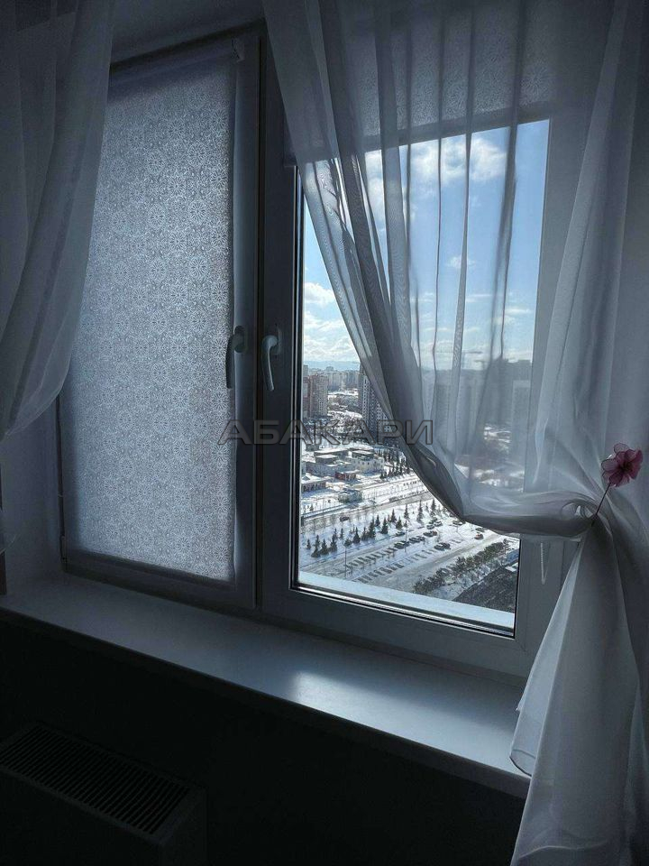 1-комнатная улица Петра Подзолкова, 3И  за 35000 руб/мес фото 3