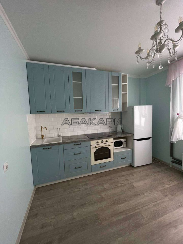 1-комнатная улица Петра Подзолкова, 3И  за 35000 руб/мес фото 4