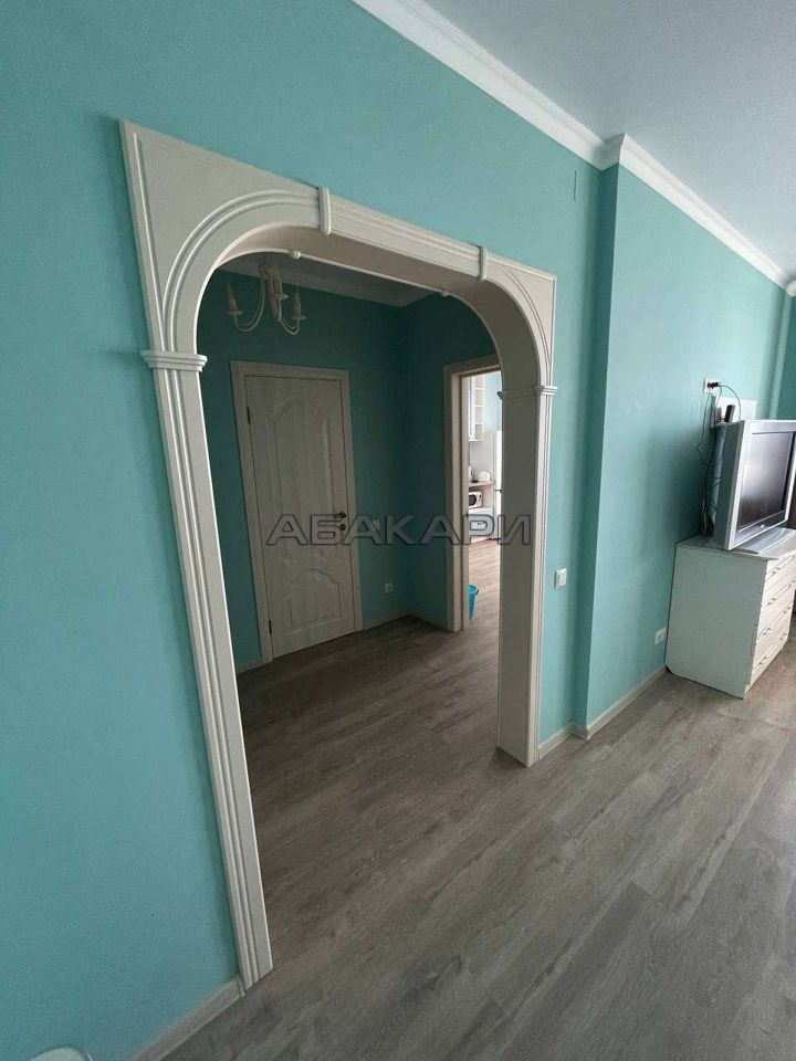 1-комнатная улица Петра Подзолкова, 3И  за 35000 руб/мес фото 11