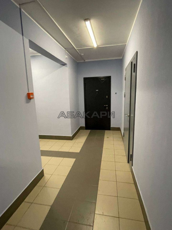 1-комнатная улица Петра Подзолкова, 3И  за 35000 руб/мес фото 14