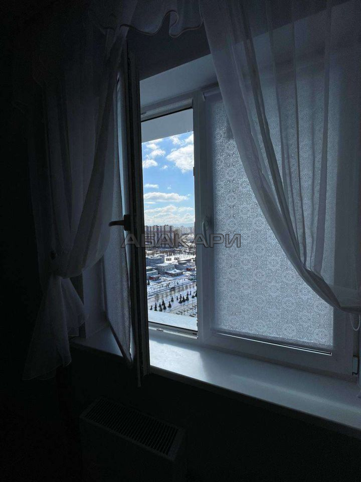 1-комнатная улица Петра Подзолкова, 3И  за 35000 руб/мес фото 15