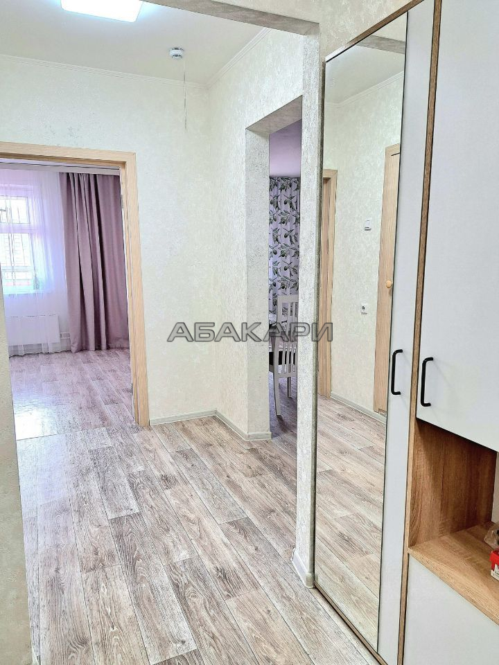 1-комнатная Свердловская улица, 6Г  за 32000 руб/мес фото 12