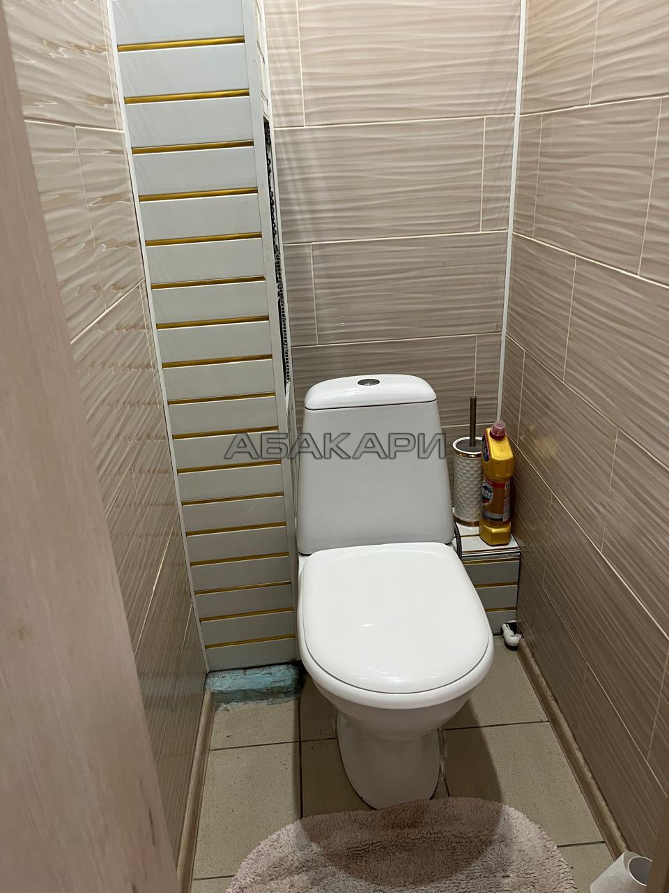 3-комнатная улица Чернышевского, 102  за 48000 руб/мес фото 12