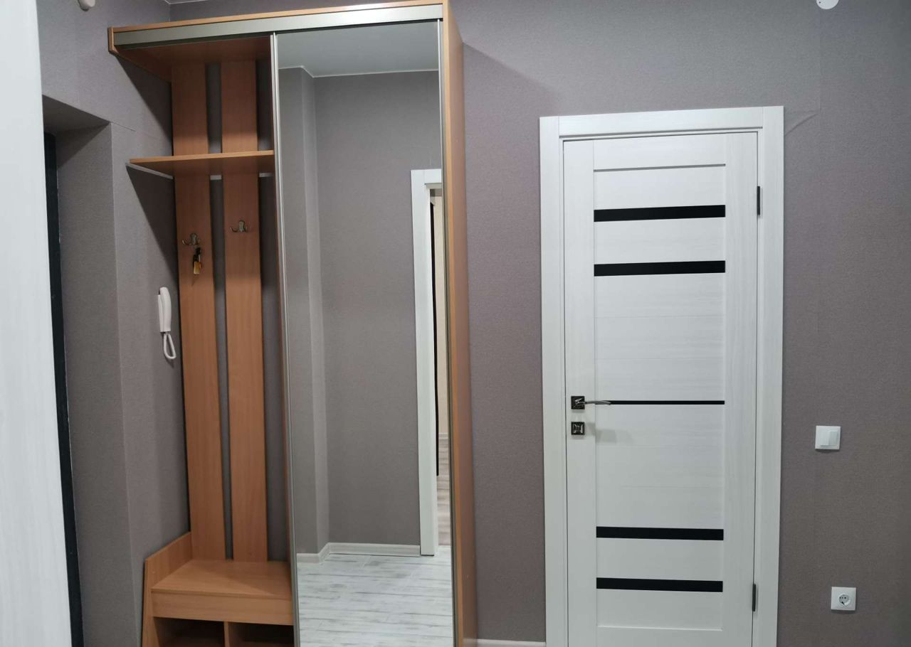 1-комнатная улица Петра Подзолкова, 3И  за 32000 руб/мес фото 10