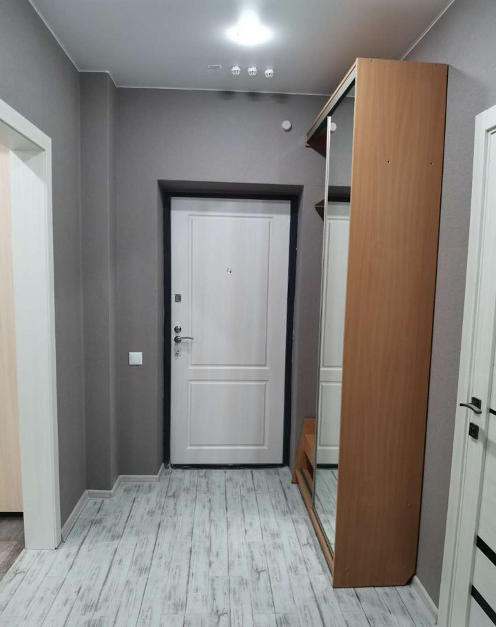 1-комнатная улица Петра Подзолкова, 3И  за 32000 руб/мес фото 11